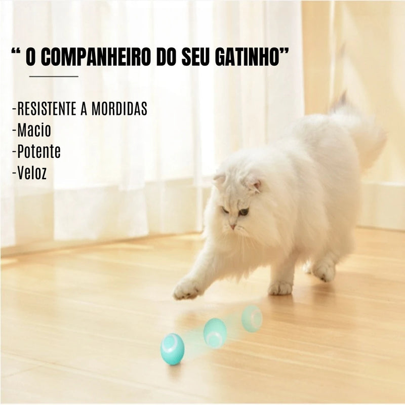 CatGo - Bola Inteligente para Gatos