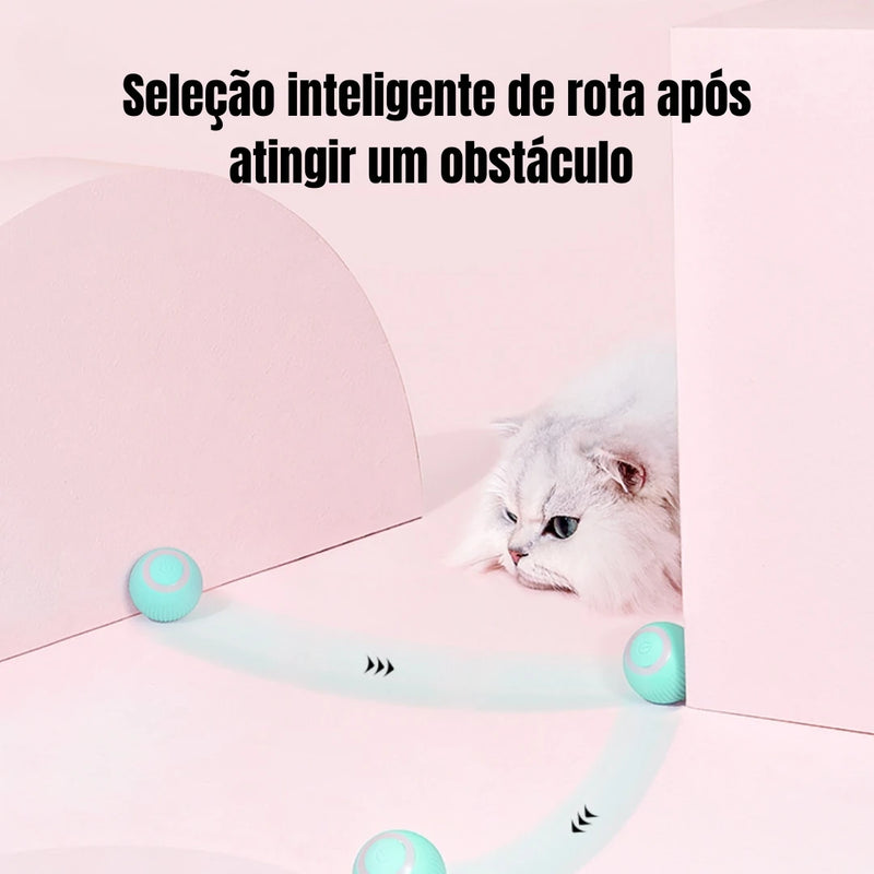 CatGo - Bola Inteligente para Gatos